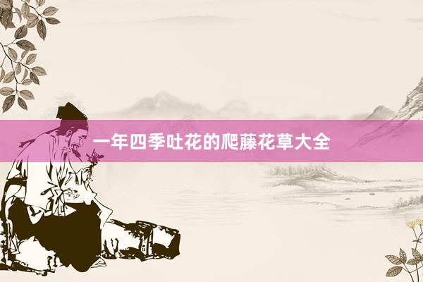 一年四季吐花的爬藤花草大全