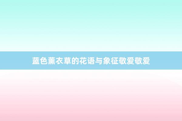 蓝色薰衣草的花语与象征敬爱敬爱